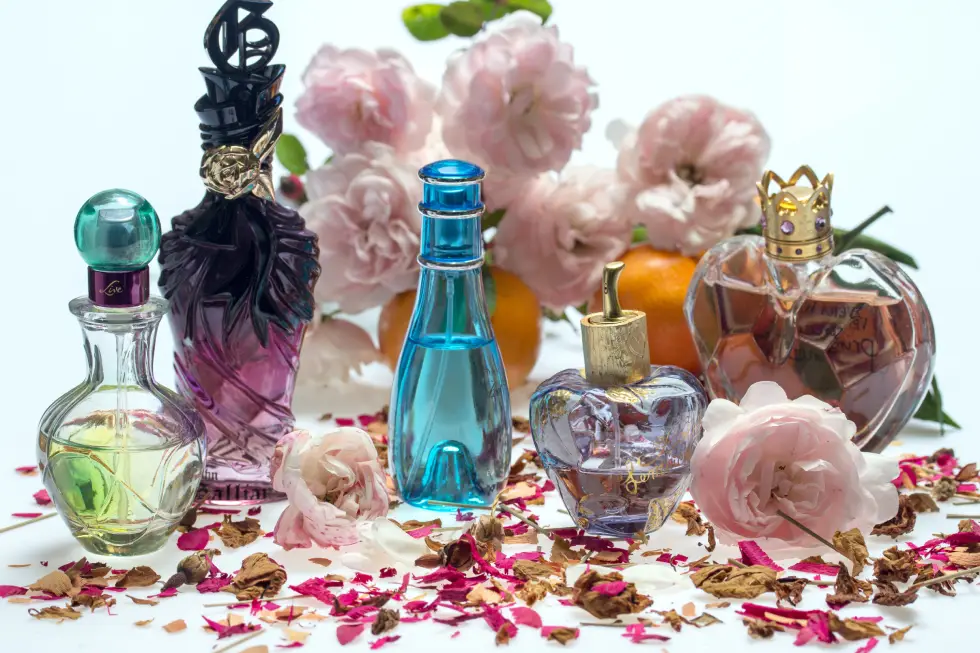 fashion-girl Divi cart pro perfume store