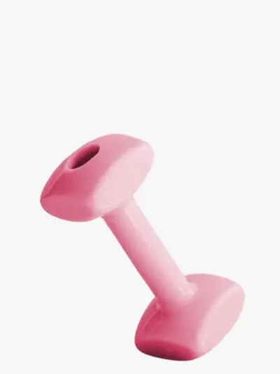 Toy for Puppy